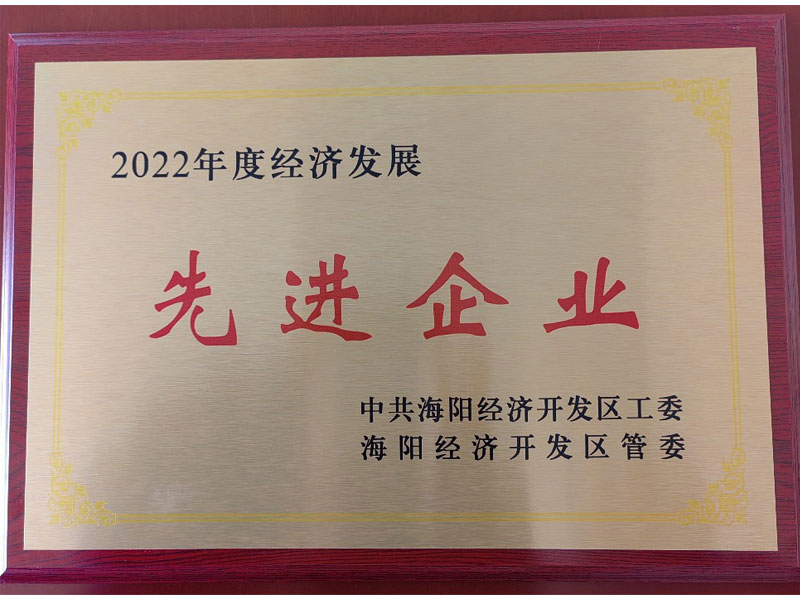 山东艾德荣获“2022年度经济发展先进企业”荣誉称号